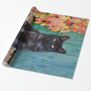 Niedliches schwarze Katzen-Kätzchen mit Rot Geschenkpapier