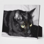 Niedliches schwarze Katzen-Porträt Fotoplatte (Seite)