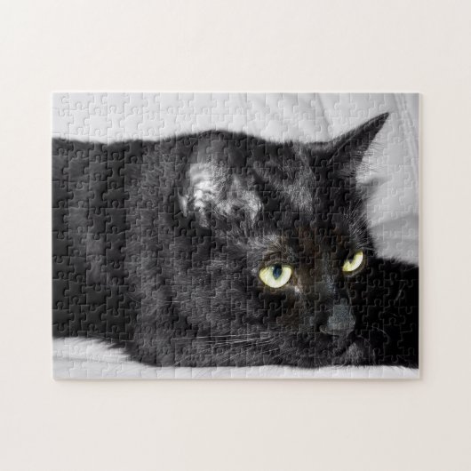 Niedliches schwarze Katzen-Porträt Puzzle (Horizontal)
