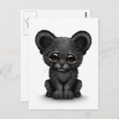 Niedliches schwarzes Baby Panther Cube auf Weiß Postkarte (Vorne/Hinten)