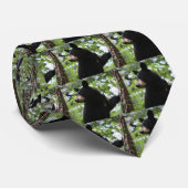 Niedliches schwarzes Bärenjunges, das auf dem Baum Krawatte (Gerollt)