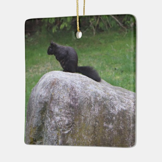 Niedliches Schwarzes Eichhörnchen auf einem Rock N Keramikornament (Links)