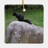 Niedliches Schwarzes Eichhörnchen auf einem Rock N Keramikornament (Vorderseite)