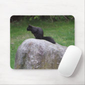 Niedliches Schwarzes Eichhörnchen auf einem Rock N Mousepad (Mit Mouse)