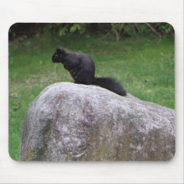 Niedliches Schwarzes Eichhörnchen auf einem Rock N Mousepad