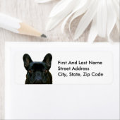 Niedliches Schwarzes Französisches Bulldogge Frenc (Insitu)