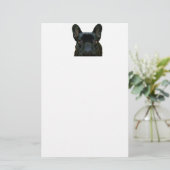 Niedliches Schwarzes Französisches Bulldogge Frenc Briefpapier (Stehend Vorderseite)