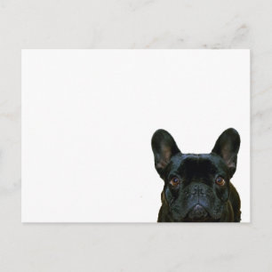 Niedliches Schwarzes Französisches Bulldogge Frenc Postkarte