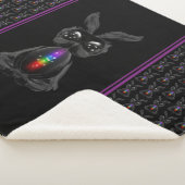 Niedliches Schwarzes Kaninchen mit Chakra-Rainbow- Sherpadecke (3/4)