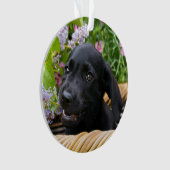 Niedliches schwarzes ornament (Vorderseite)