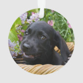 Niedliches schwarzes ornament (Rückseite)