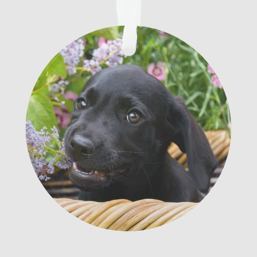 Niedliches schwarzes ornament (Rückseite)