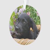 Niedliches schwarzes ornament (Vorderseite)