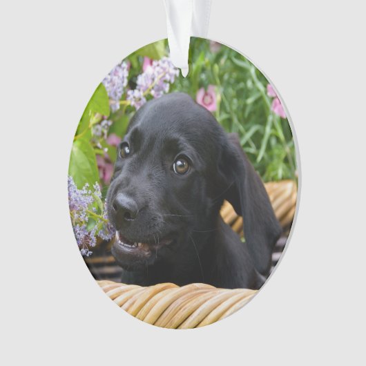 Niedliches schwarzes ornament (Vorderseite)