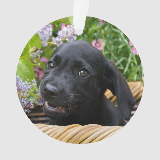 Niedliches schwarzes ornament (Vorderseite)