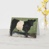 Niedliches Schwarzes umgeschnalltes Galloway-Kalb Karte (Gelbe Blume)