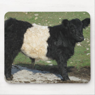 Niedliches Schwarzes umgeschnalltes Galloway-Kalb Mousepad