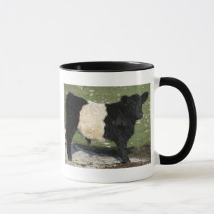Niedliches Schwarzes umgeschnalltes Galloway-Kalb Tasse