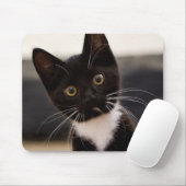 Niedliches Schwarzweiss-Tuxedo-Kätzchen Mousepad (Mit Mouse)