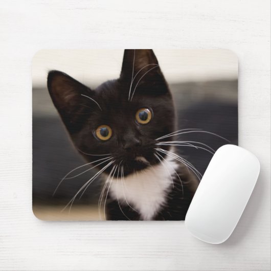 Niedliches Schwarzweiss-Tuxedo-Kätzchen Mousepad (Mit Mouse)