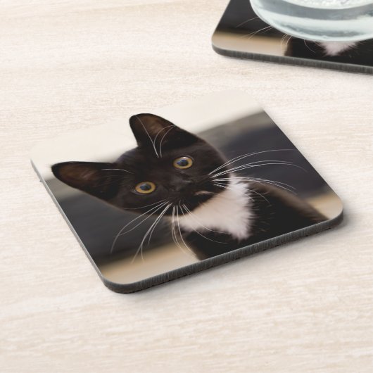 Niedliches Schwarzweiss-Tuxedo-Kätzchen Untersetzer (Linke Seite)