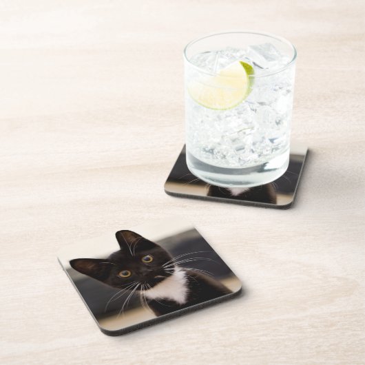 Niedliches Schwarzweiss-Tuxedo-Kätzchen Untersetzer (Rechte Seite)