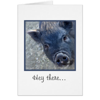 Niedliches Schwein