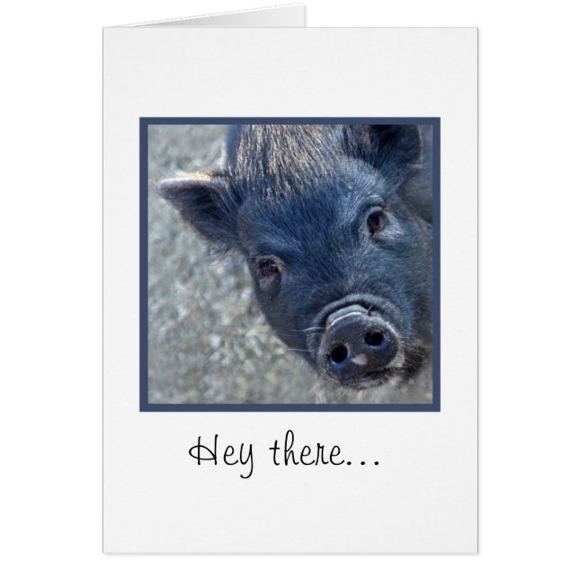 Niedliches Schwein (Vorne)