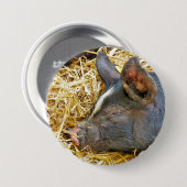 NIEDLICHES SCHWEIN BUTTON (Vorne & Hinten)