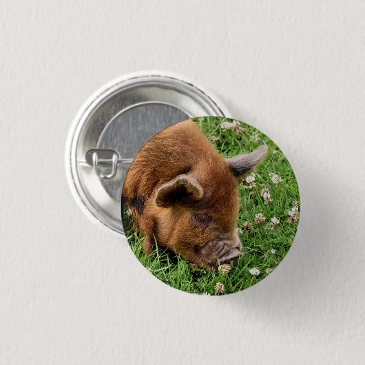 NIEDLICHES SCHWEIN BUTTON (Vorne & Hinten)