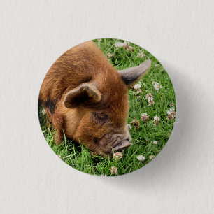 NIEDLICHES SCHWEIN BUTTON