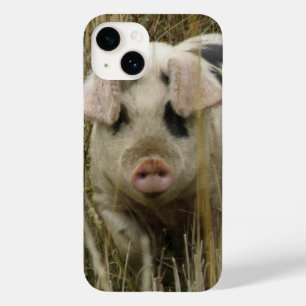 Niedliches Schwein Case-Mate iPhone Hülle