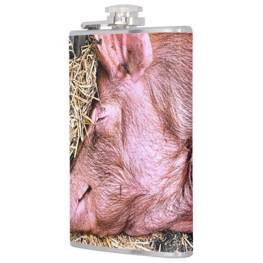 NIEDLICHES SCHWEIN FLACHMANN (Links)