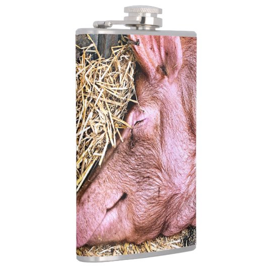 NIEDLICHES SCHWEIN FLACHMANN (Rechts)