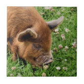 NIEDLICHES SCHWEIN FLIESE (Vorderseite)