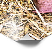 NIEDLICHES SCHWEIN FOTODRUCK (Ecke)