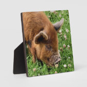 NIEDLICHES SCHWEIN FOTOPLATTE (Vorderseite)