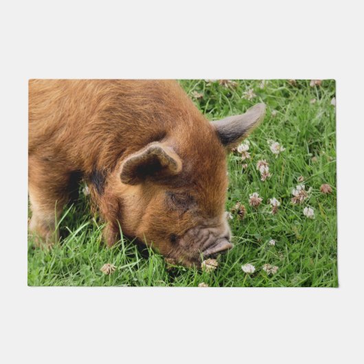 NIEDLICHES SCHWEIN FUßMATTE (Vorderseite)