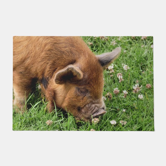 NIEDLICHES SCHWEIN FUßMATTE (Vorderseite)