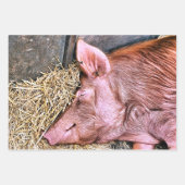 NIEDLICHES SCHWEIN GESCHENKPAPIER SET (Vorderseite 2)