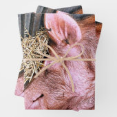 NIEDLICHES SCHWEIN GESCHENKPAPIER SET (Beispiel)