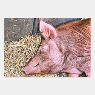 NIEDLICHES SCHWEIN GESCHENKPAPIER SET
