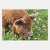 NIEDLICHES SCHWEIN GESCHENKPAPIER SET (Vorderseite 3)