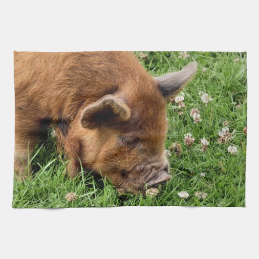 NIEDLICHES SCHWEIN GESCHIRRTUCH (Horizontal)