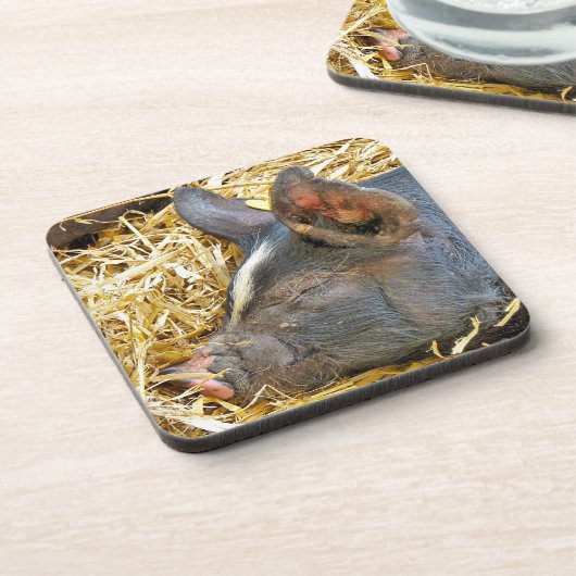 NIEDLICHES SCHWEIN GETRÄNKEUNTERSETZER (Linke Seite)