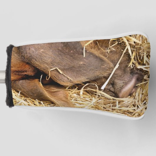 NIEDLICHES SCHWEIN GOLF HEADCOVER (Vorderseite)