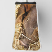 NIEDLICHES SCHWEIN GOLF HEADCOVER (Rotieren 90)