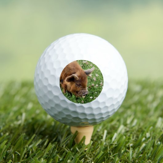 NIEDLICHES SCHWEIN GOLFBALL (Insitu T-Shirt)