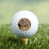 NIEDLICHES SCHWEIN GOLFBALL (Insitu T-Shirt)