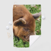 NIEDLICHES SCHWEIN GOLFHANDTUCH (Insitu)
